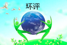 環(huán)境影響評價(jià)文件涉及弄虛作假等行為的，需要承擔(dān)哪些后果？